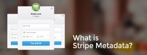 what is stripe metadata